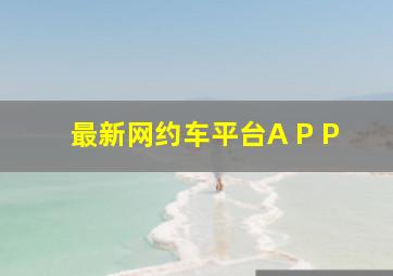 最新网约车平台A P P